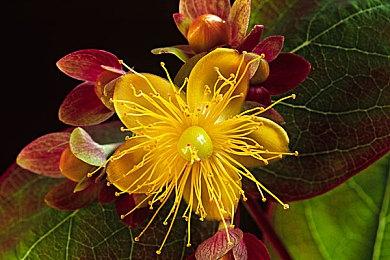 腾讯《三角洲行动》新视频公布 包含新实机画面